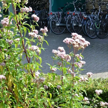 Hotel Fletcher Carlton Naaldwijk