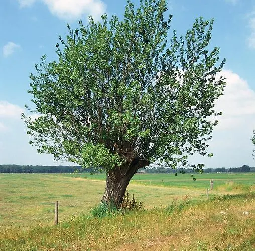 Fletcher Carlton Szálloda Naaldwijk
