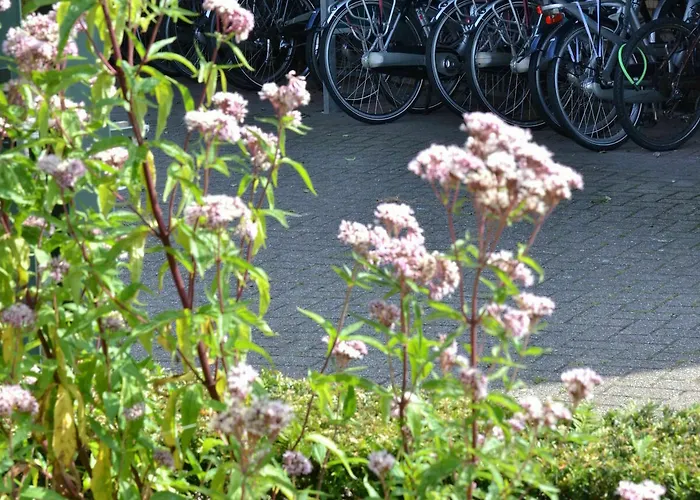 Hotel Fletcher Hotel Restaurant Carlton Naaldwijk