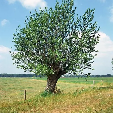 Fletcher Hotel Restaurant Carlton Hotel Naaldwijk